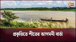 প্রকৃতিতে শীতের আগমনী বার্তা | Beauty of Late Autumn | Seasons of Bangladesh | Channel 24