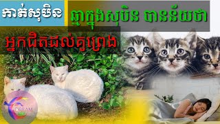 ឆ្មាក្នុងសុបិន បានន័យថា អ្នកជិតដល់គូព្រេង និងមានលាភសំណាងខាងហិរញ្ញវត្ថុ-Dreaming of a cat