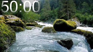 50 Minute Timer with Calm Soothing Music