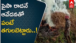 Srikakulam Farmers: శ్రీకాకుళం జిల్లాలో రైతన్నల దీనస్థితికి ఈ ఘటనే ఉదారహణ| ABP Desam