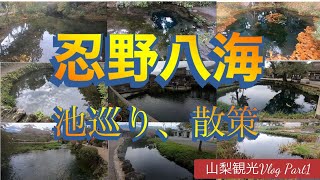 忍野八海！！全8つの池を回ってみた！忍野八海周辺の街散策！街からは富士山も！【山梨観光Vlog Part 1】