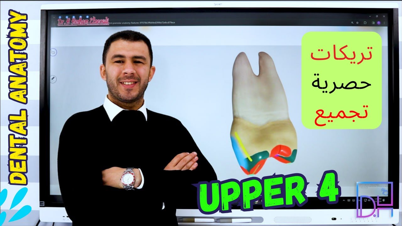 4 Upper First Premolar 3d Of Upper 4 P3 Youtube