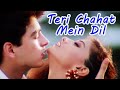 Teri Chahat Mein Dil | The Don (1995) | Sonali Bendre, Jugal Hansraj | Kumar Sanu Hits