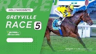 20221026 Hollywoodbets Greyville Race 5 won by SON OF RAJ