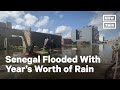 Senegal Hit with Year's Worth of Rain in 1 Night | NowThis