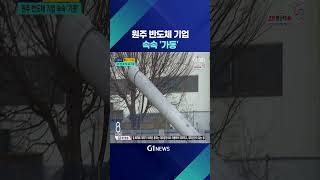 [G1뉴스] 원주 반도체 기업 속속 가동