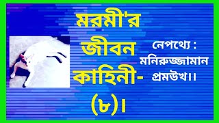 মরমী'র জীবন কাহিনী-(৮)। নেপথ্যে : মনিরুজ্জামান প্রমউখ।#entertainment #funnyvideo #comedy #life_story