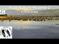 LIVE Hula Nature Reserve Bird CAM 2|Israel Nature & Parks Auth.| Charter Group of Wildlife Eco