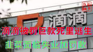 滴滴被罚80亿死里逃生实属利好||韭菜面临失业+罚款||躺平叔聊滴滴被罚