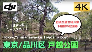 【子連れにもオススメ】自然あり！遊具あり！戸越公園を歩く│Tokyo Shinagawa-ku Togoshi-Koen│東京/品川区・戸越公園【4K60│DJI Pocket2】