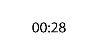 Professional 28 second timer