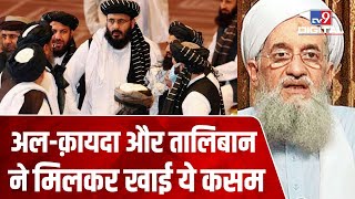 वफ़ादारी की वो कौनसी कसम है, जिससे मजबूती से बंधे हैं Al Qaida और Taliban ? | Afghanistan