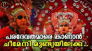 ചീമേനി മുണ്ട്യയിലെ തെയ്യം കാണാൻ | Cheemeni Mundya Theyyam 2023 | വിഷ്ണുമൂർത്തി | രക്തചാമുണ്ഡി |