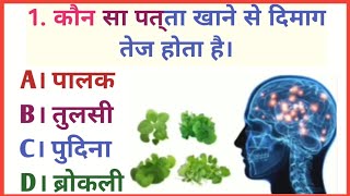 कौन सा पत्ता खाने से दिमाग तेज होता है।? |||Gk Quiz in hindi |||General Knowledge 2024 |||Gk|||