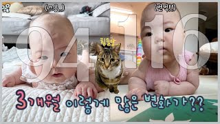 (Vlog) 3개월 아기의 깜찍한 일상 브이로그 | 아내에게 백일깜짝선물 | 고양이와 함께 키우기