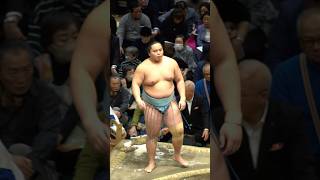 #琴勝峰 #sumo #相撲 #令和6年大相撲初場所十三日目