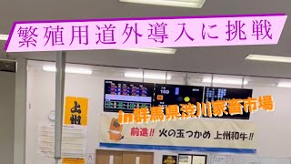 【なおちゃん道外導入】福勝鶴ファミリー導入への挑戦！！牛大好き株式会社ファームスズキ【なおちゃんねる】