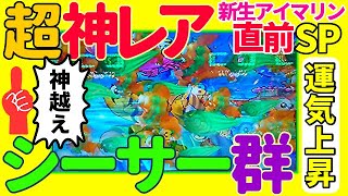 8月パチンコ貯金。第444回『新生アイマリン導入前にまだ見たことないシーサー群が出ました。』