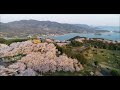 「セレナと旅写真」18 03 30 伯方島 開山公園夜明け頃