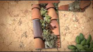 Artezanos Hybrid Green Roof