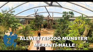 Allwetterzoo Münster - Meranti-Halle