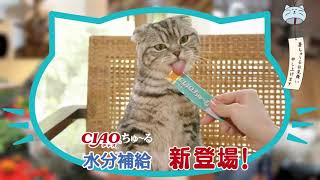 CIAO水分補給ちゅーるCM