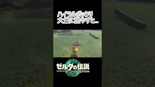 ハイラルボックリを大量に燃やすと…#ゼルダの伝説 #zelda #totk #ティアキン #tearsofthekingdom #nintendoswitch