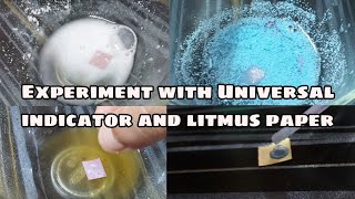 experiment with litmus paper and universal indicator | pH paper | litmus paper | SUBTITLES |