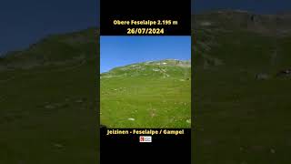 Jeizinen - Feselalpe / Gampel ⏩ Timelapse 100 days