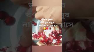 পুষ্টিগুনে  ভরা আনার #nature fruit