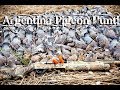 Great Pigeon Hunt in Argentina with the ShotKam!