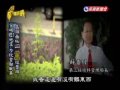 台灣演義：台灣竹科史 4 5 20090809