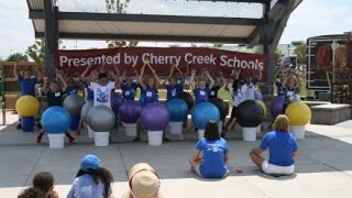CCSD at the County Fair