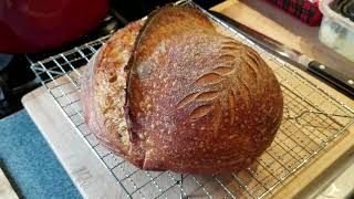 Sourdough Tuesday