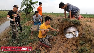 Top 2 BEST VIDEO | Skill Catch Poisonous Snakes Of Professional Hunters