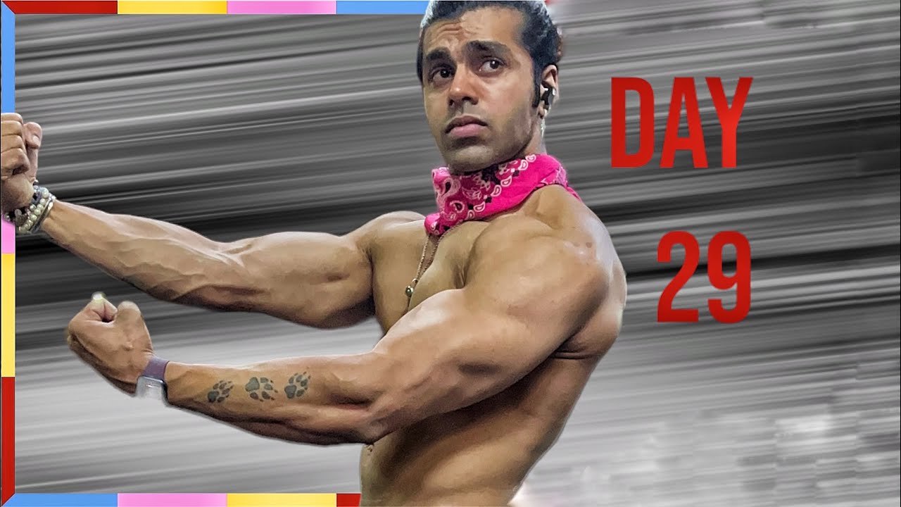 Bulk Day 29 Youtube