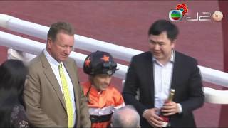 2018/19 (402) - Key Witness (英勇大師) - 巫顯東 / Prance Dragon (騰龍駒) - 蘇兆輝