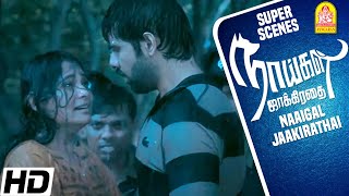 மூணாவது ஆள் மட்டும் Missing! | Naaigal Jaakirathai Movie Scenes | Sibiraj | Arundhati