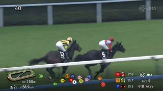 2025年2月15日小倉10R 太宰府特別　芝2000m シルキーガール