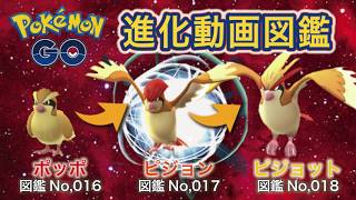 【ポケモンGO進化図鑑】016「ポッポ」→017「ピジョン」→018「ピジョット」