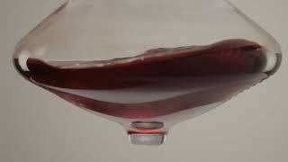 Elevate your wine-tasting hosting parties with the decanter - The Wavemaker