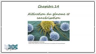 [SVT-Erlich] 1ère Spé - Chapitre 14 - Altération du génome et cancérisation