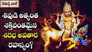 The story of Lord Shiva Sarabha Avatar? - Rahasyavaani