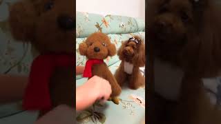 🐶 Cute puppy Funny  Cute Dog Pomeranian 😍 #FunnyPuppytiktok # 192