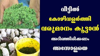 വീട്ടിൽ കോഴിവളർത്തി വരുമാനം കൂട്ടാൻ അറിഞ്ഞിരിക്കണം അസോളയെ