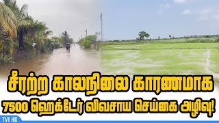 சீரற்ற காலநிலை காரணமாக 7500 ஹெக்டேர் விவசாய செய்கை அழிவு!