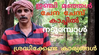 Model farmer-മാതൃകാ കർഷകൻ