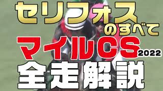 【セリフォスのすべて】（マイルチャンピオンシップ2022）新馬戦から前走までのレースぶりを振り返ってみました