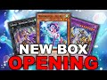 NEW BOX OPENING! WIND WITCH, LYRILUSC, STRIKER, GAIA + MORE! (Yu-Gi-Oh! Duel Links)