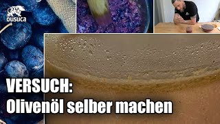 Olivenöl selber machen? Funktioniert das?